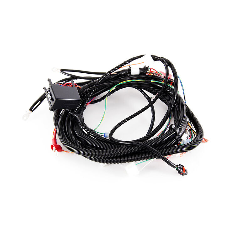 Main Harness