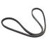 Belt Sec A x 51.18