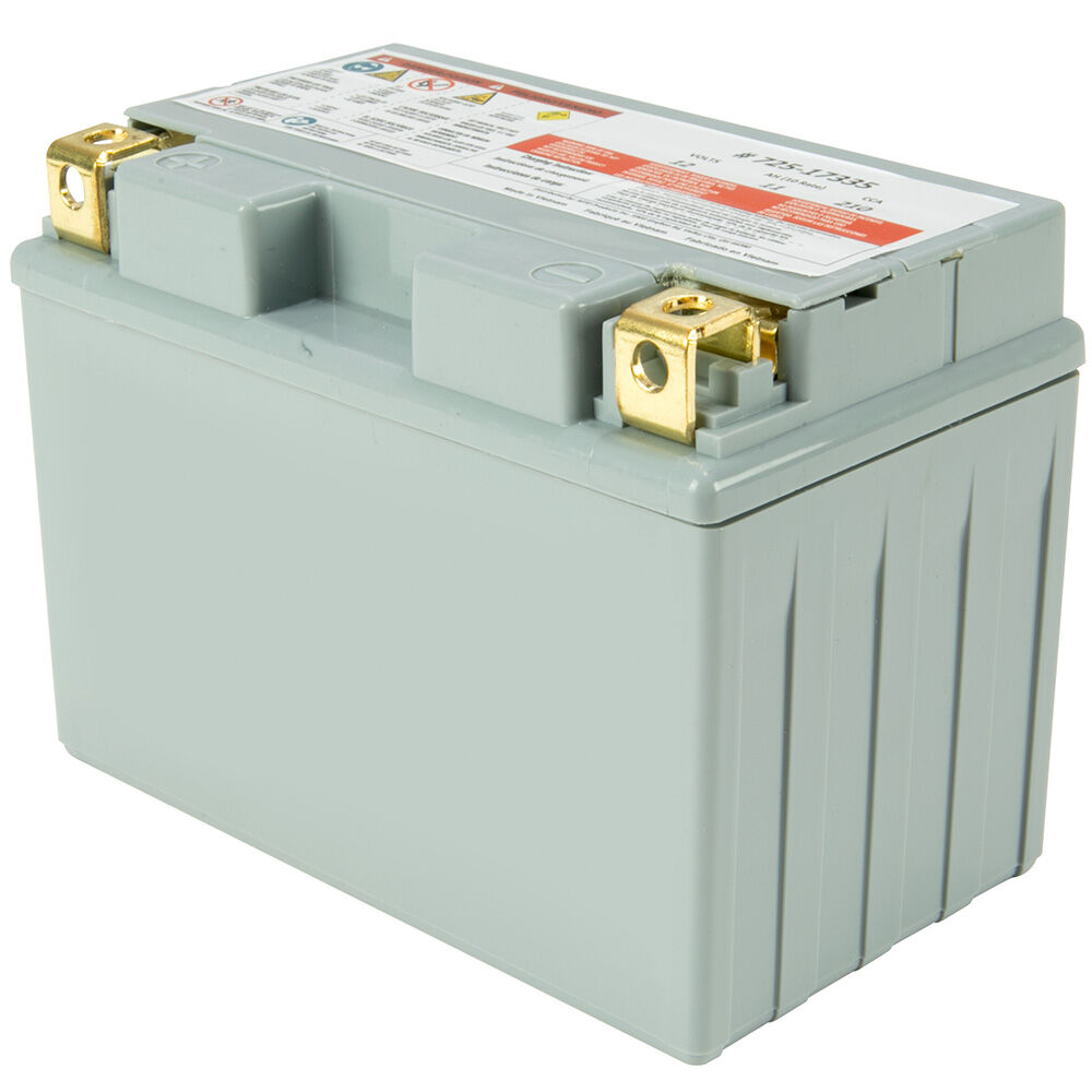 Troy bilt deals battery