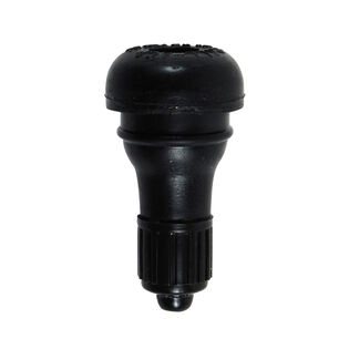 Tubeless Air Valve