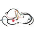 Main Harness