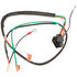 Engine Harness