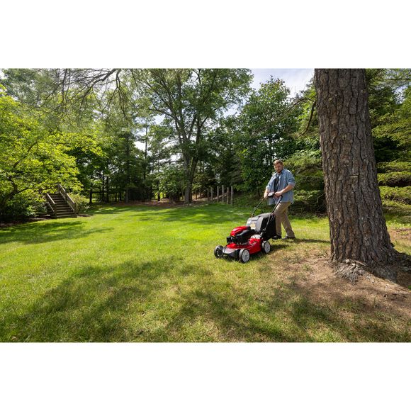 TB310C Self-Propelled Mower