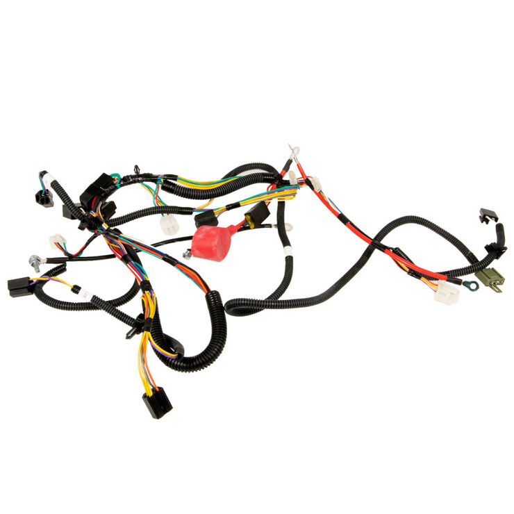 Main Harness