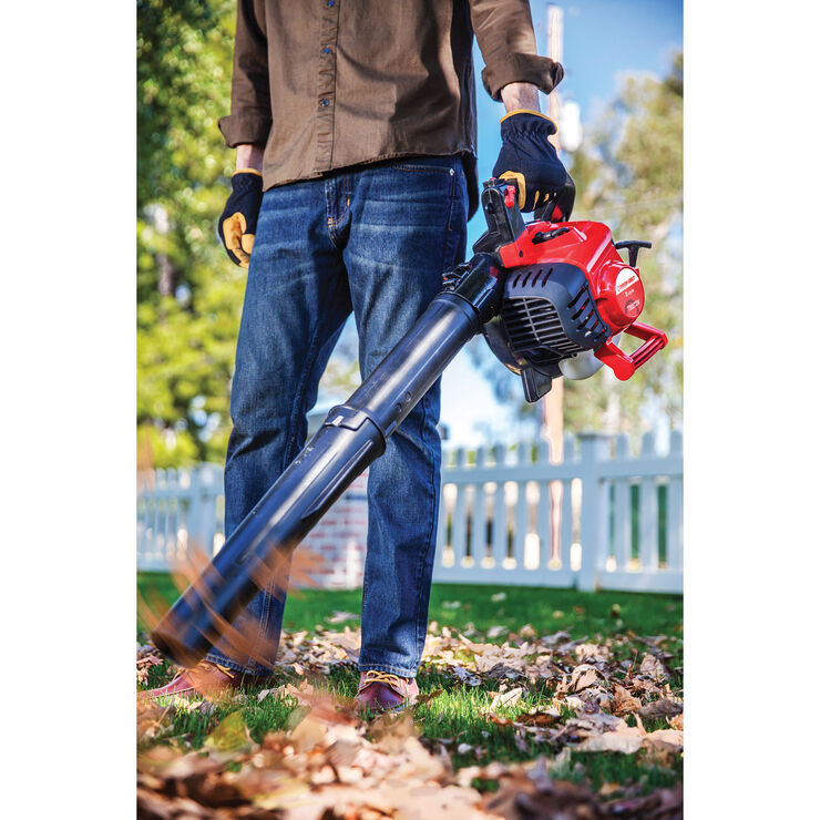 Leaf Blowers for sale in San Felipe, California