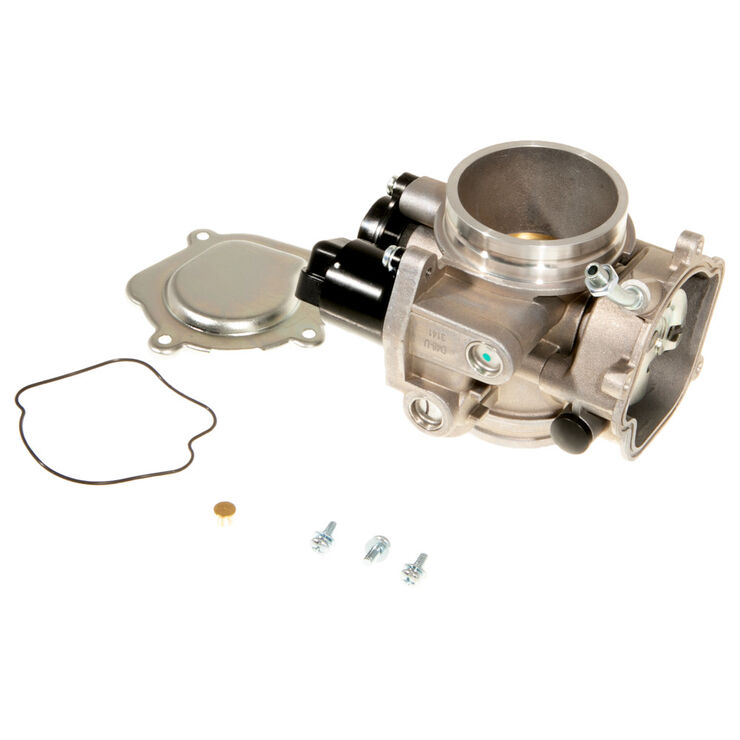 Throttle Body Assembly