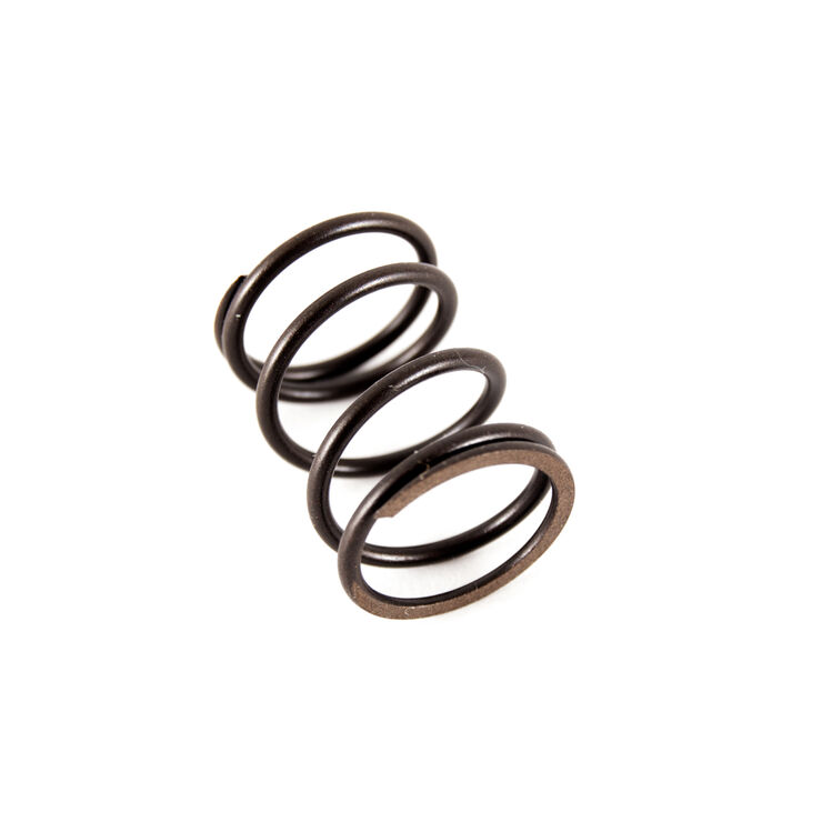 Valve Springtilr