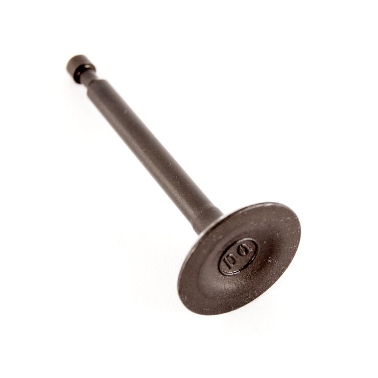 Intake Valve