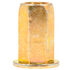 Nut Rivet 5/16-18