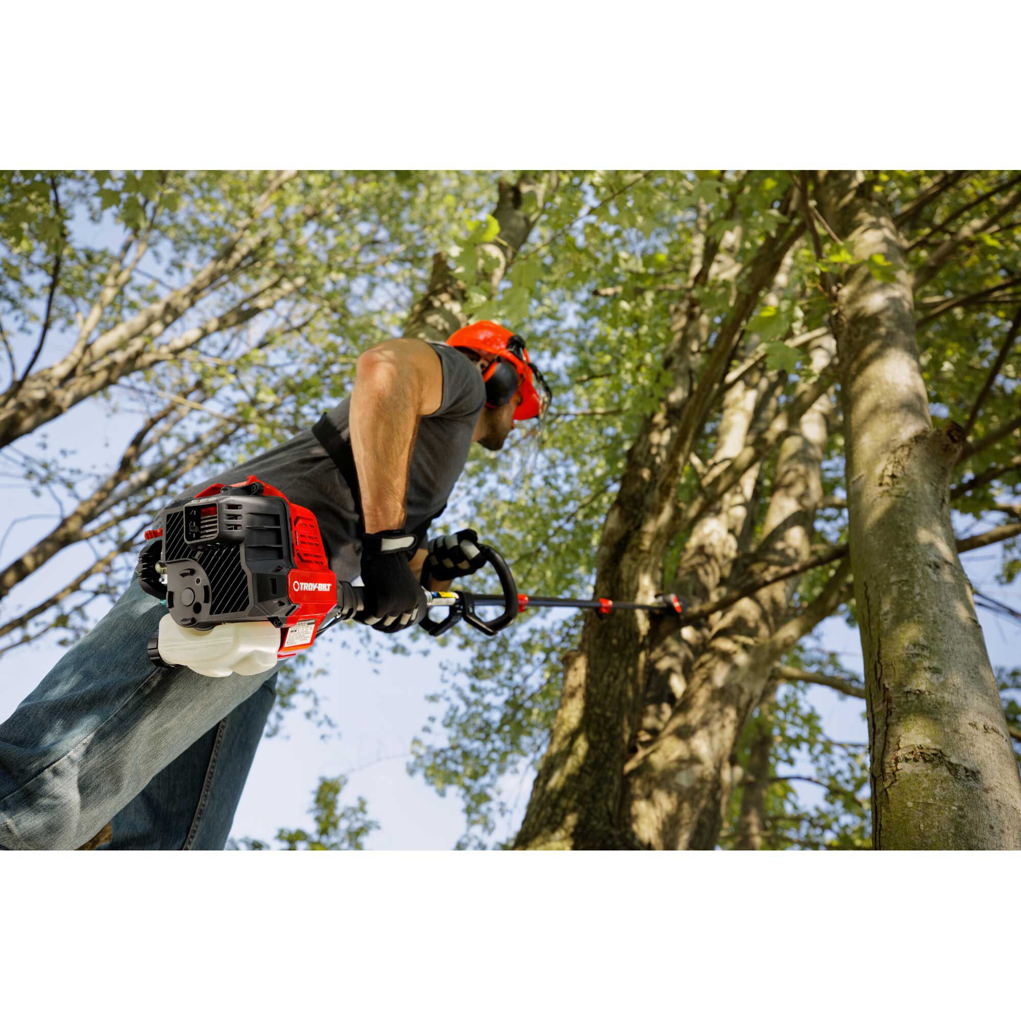 Troy bilt store pole saw
