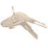 Ignition Key