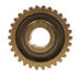 Worm Gear