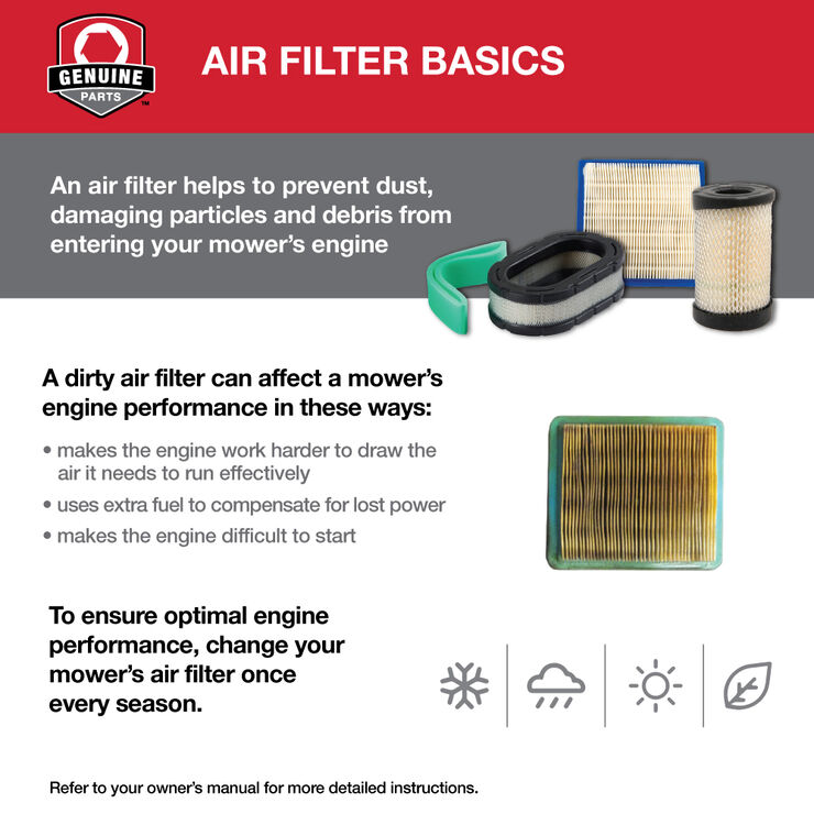 Air Filter with Precleaner