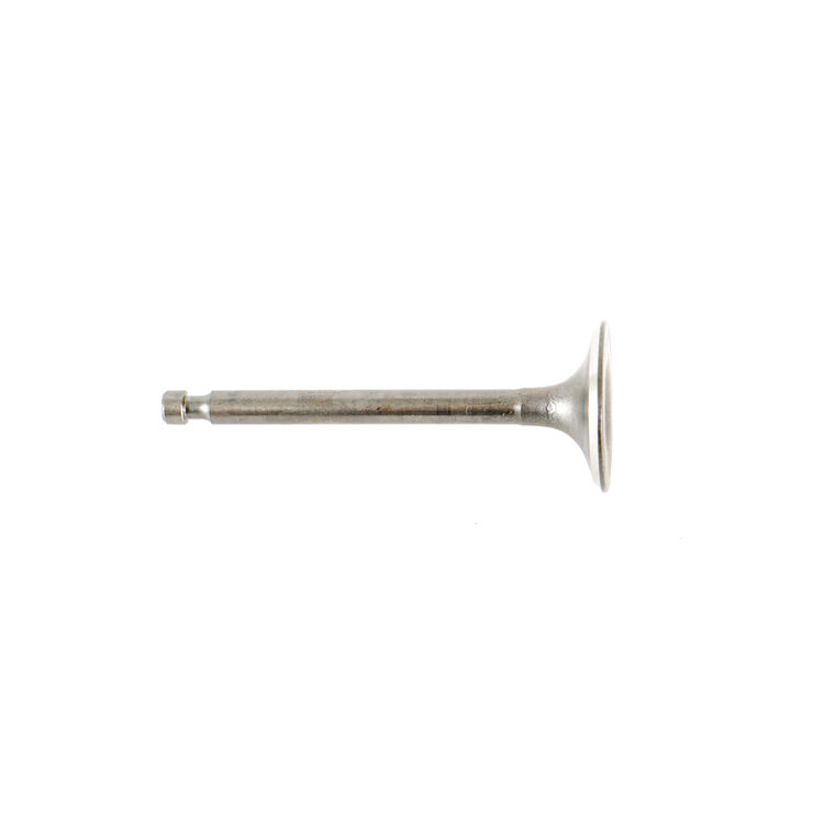 INTAKE VALVE                  