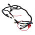 Main Wire Harness