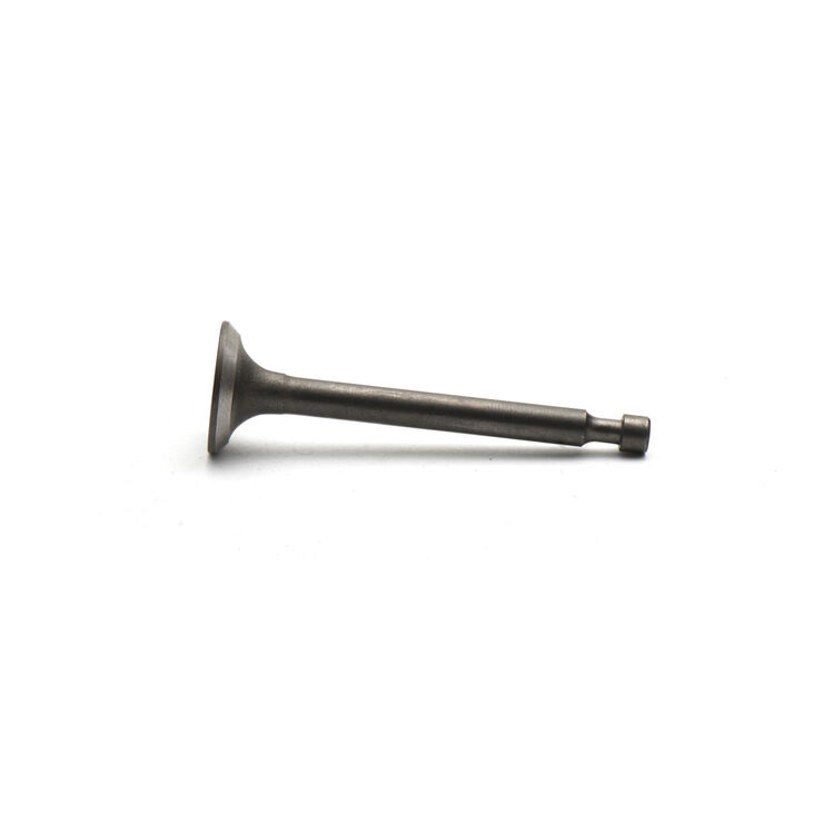 Exhaust Valve