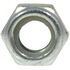 Hex Nut