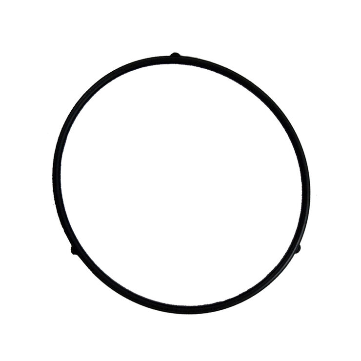 Fuel Bowl ORing 95111589 TroyBilt US