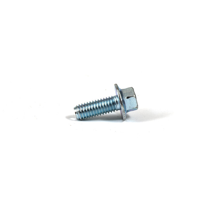 Hex Screw Flange