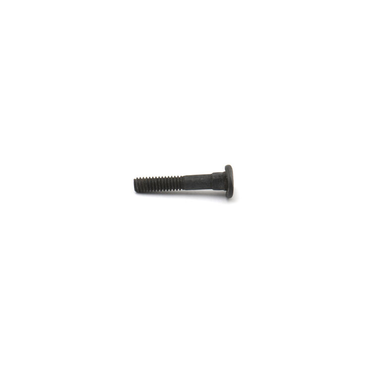 Carriage Bolt