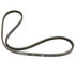 Transmission Belt