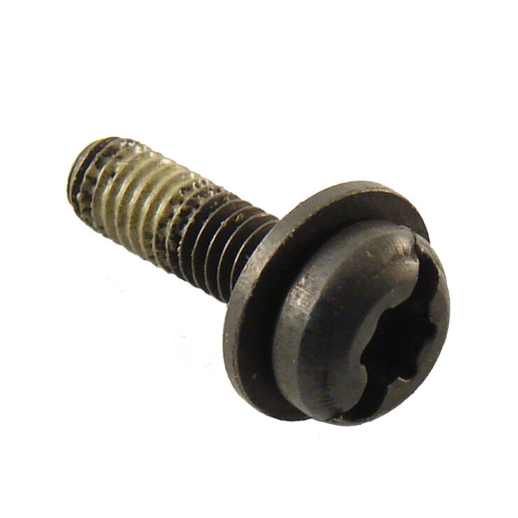 Screw