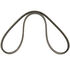 Transmission Belt