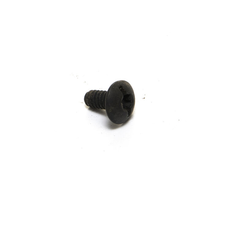 Flange Screw