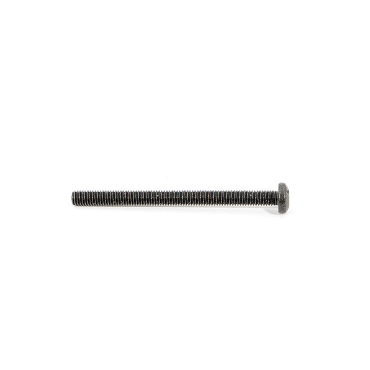 Screw