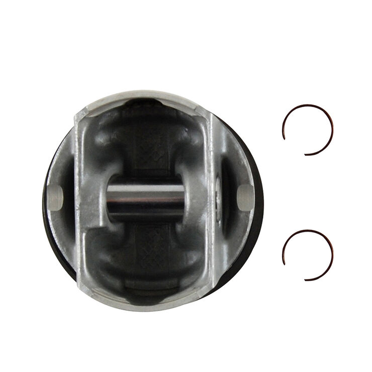 Standard Piston with Rings