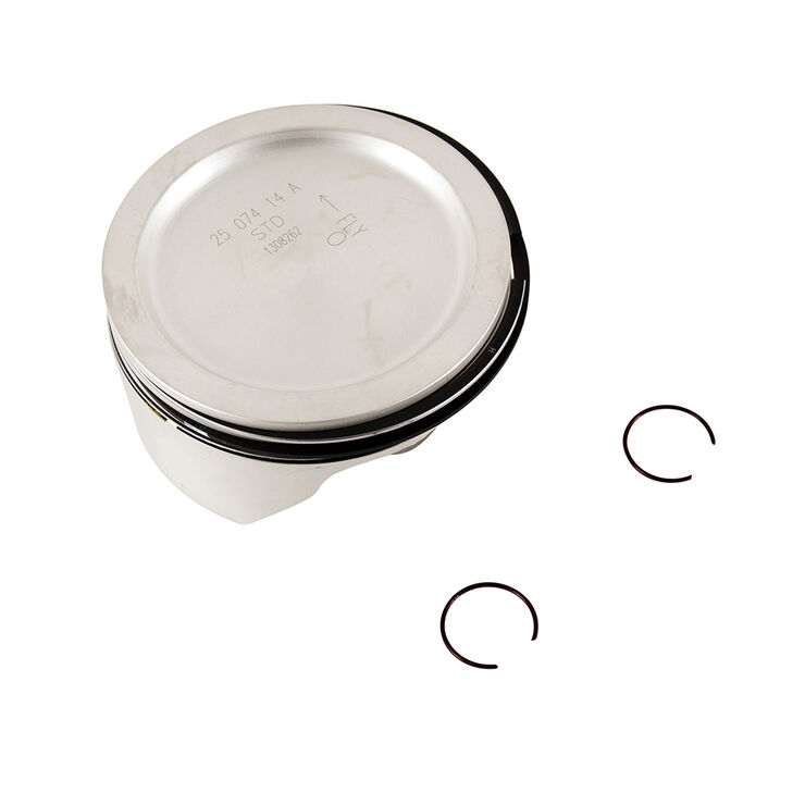 Piston Kit &#40;Std&#41;
