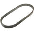 CVT Belt