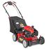 TB310C Self-Propelled Mower