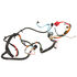 Main Harness