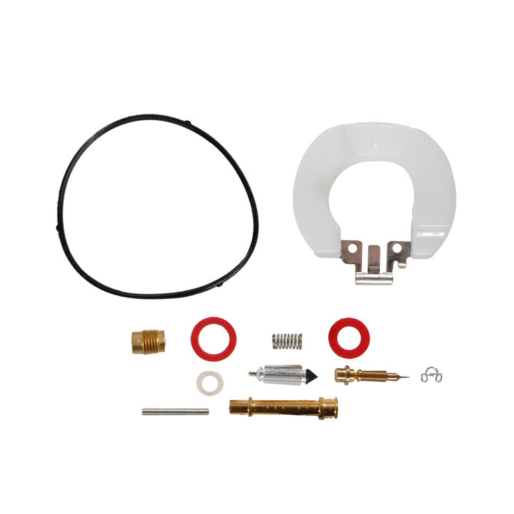 CARBURETOR KIT                