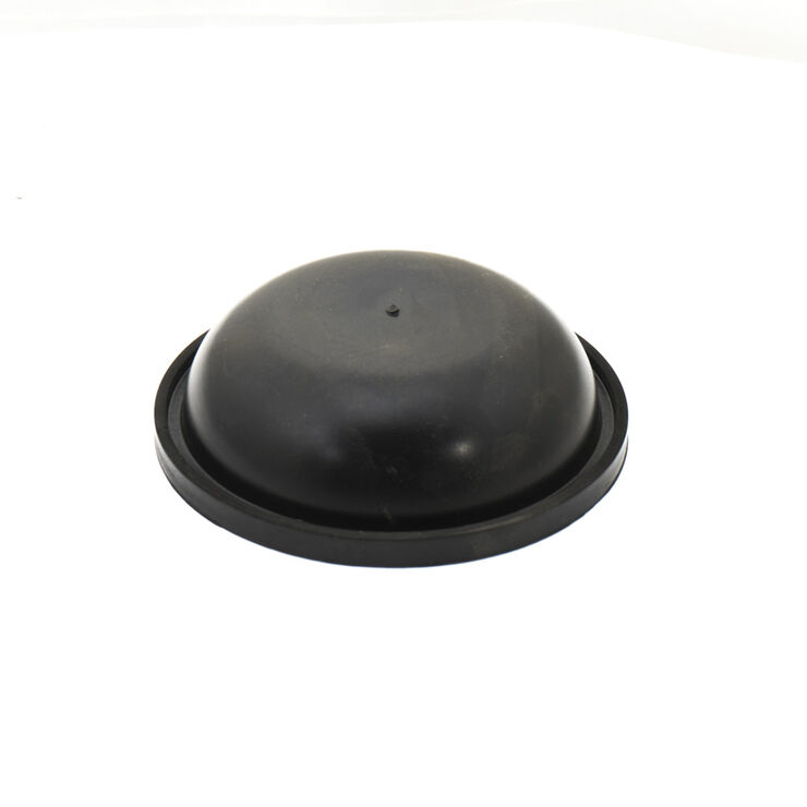 Diaphragm-Accumula