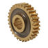 Worm Gear