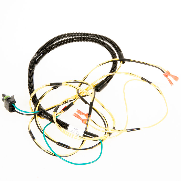 Engine Harness