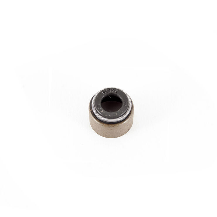 VALVE SEAL                    
