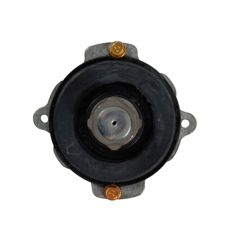 Starter Clutch