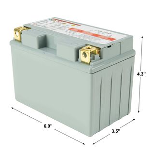 12-Volt Absorbent Glass Mat (AGM) Battery - 210 CCA