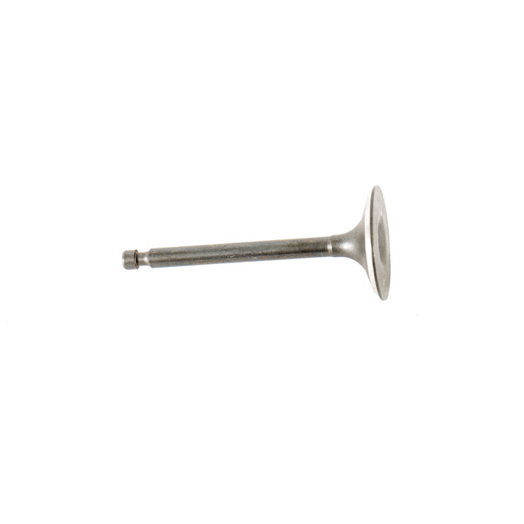 INTAKE VALVE                  