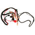 Main Wire Harness