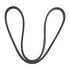 Belt Sec A x 51.18