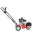 TBE550 Driveway Edger/Trencher