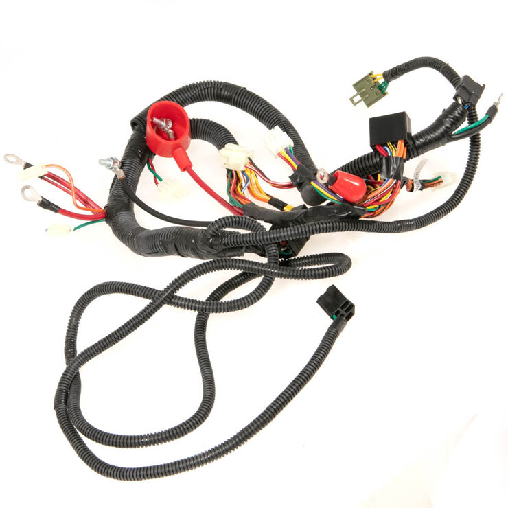 Main Harness