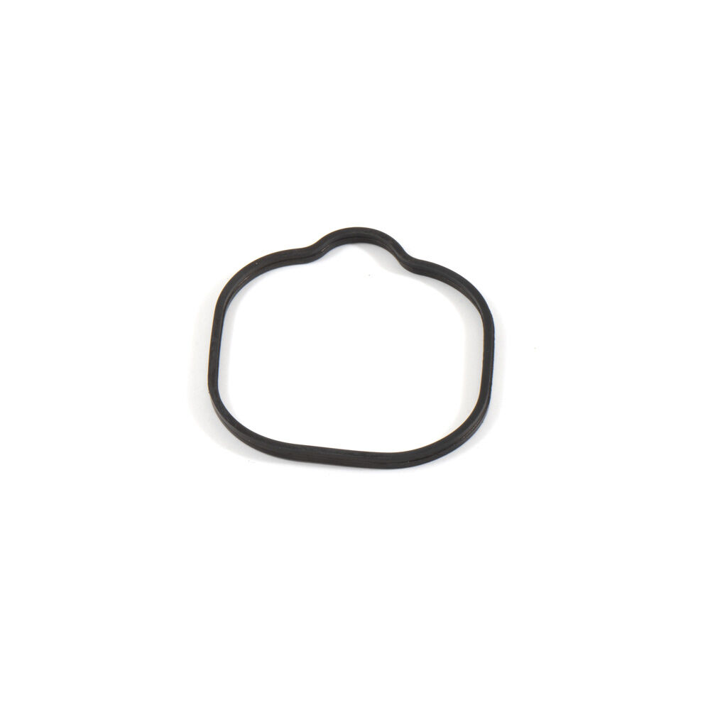 Gasket-Cover Plate - YA-119717-61070 | Troy-Bilt US