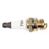 Torch Spark Plug