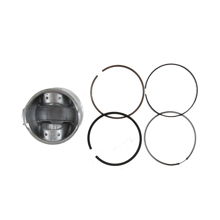 Piston-Std W/Ring