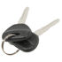 Blank Key